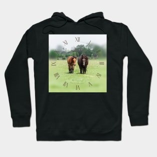 Two horses on pasture looking at camera Hoodie